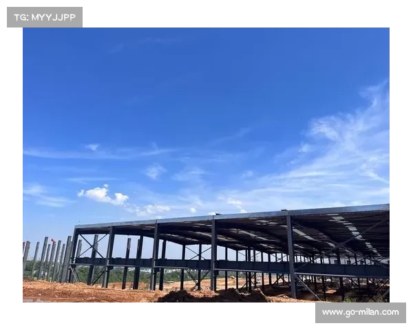 布隆德比球场屋顶坍塌事故原因调查 钢结构腐蚀问题曝光 布隆德比球场屋顶坍塌事故原因调查 钢结构腐蚀问题曝光